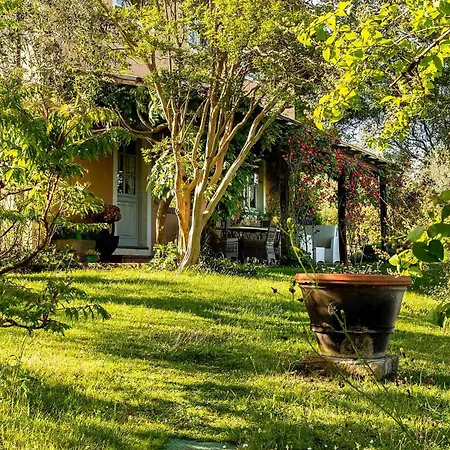 Villa D'amico, Charming Indulgence Overlooking Town Centre Lucques